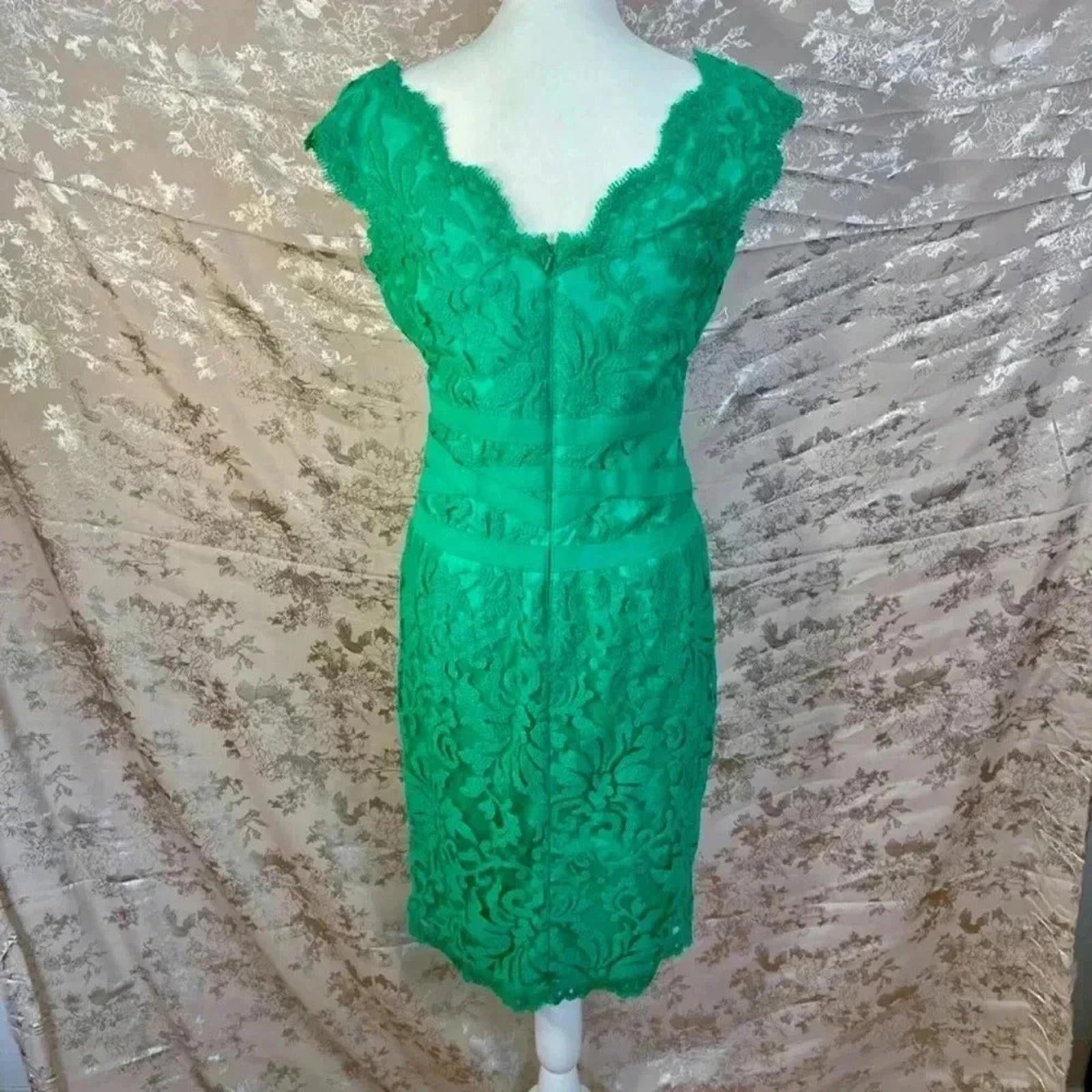 Tadashi Shoji Embroidered Lace V Neck Dress Cocktail Dress Size 8