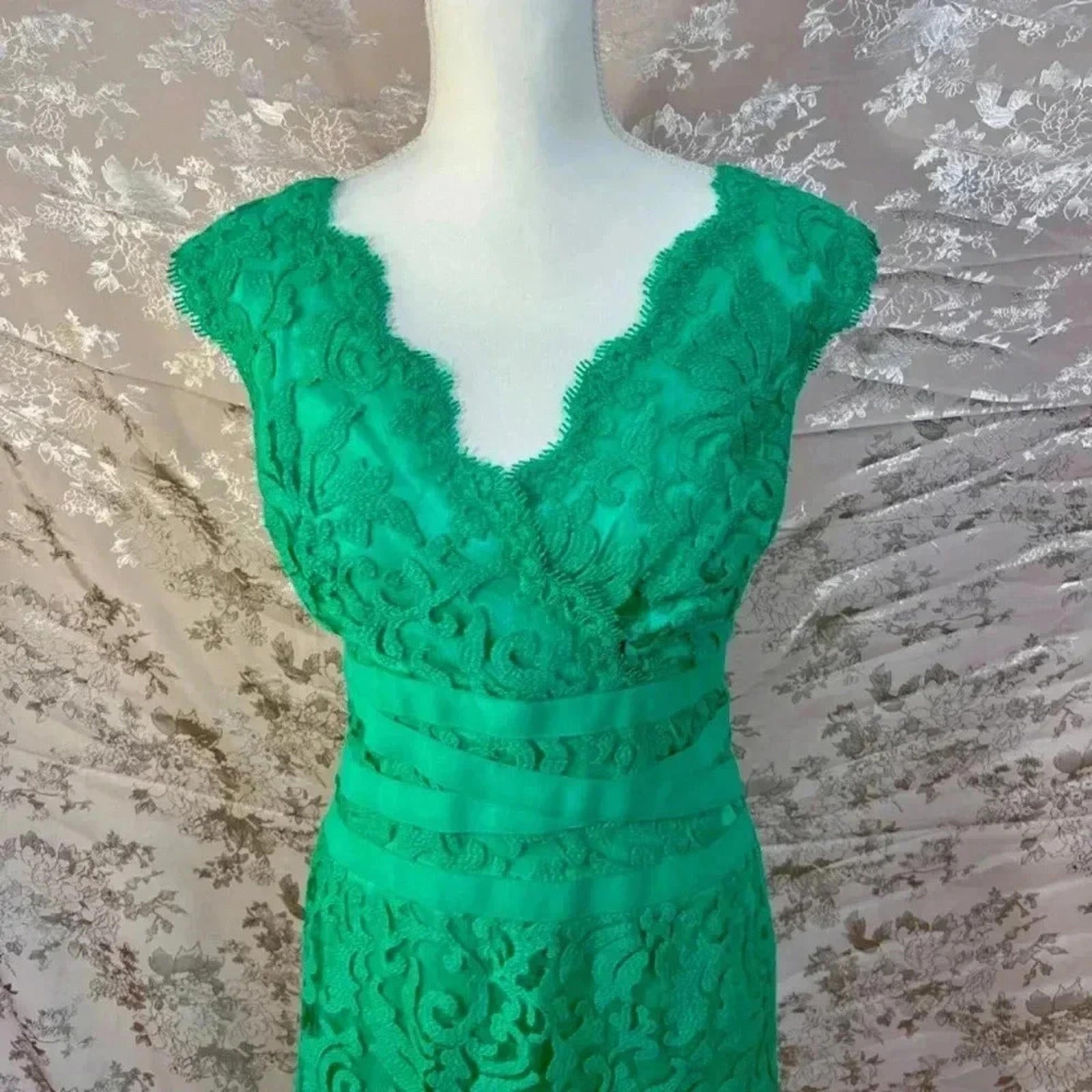 Tadashi Shoji Embroidered Lace V Neck Dress Cocktail Dress Size 8