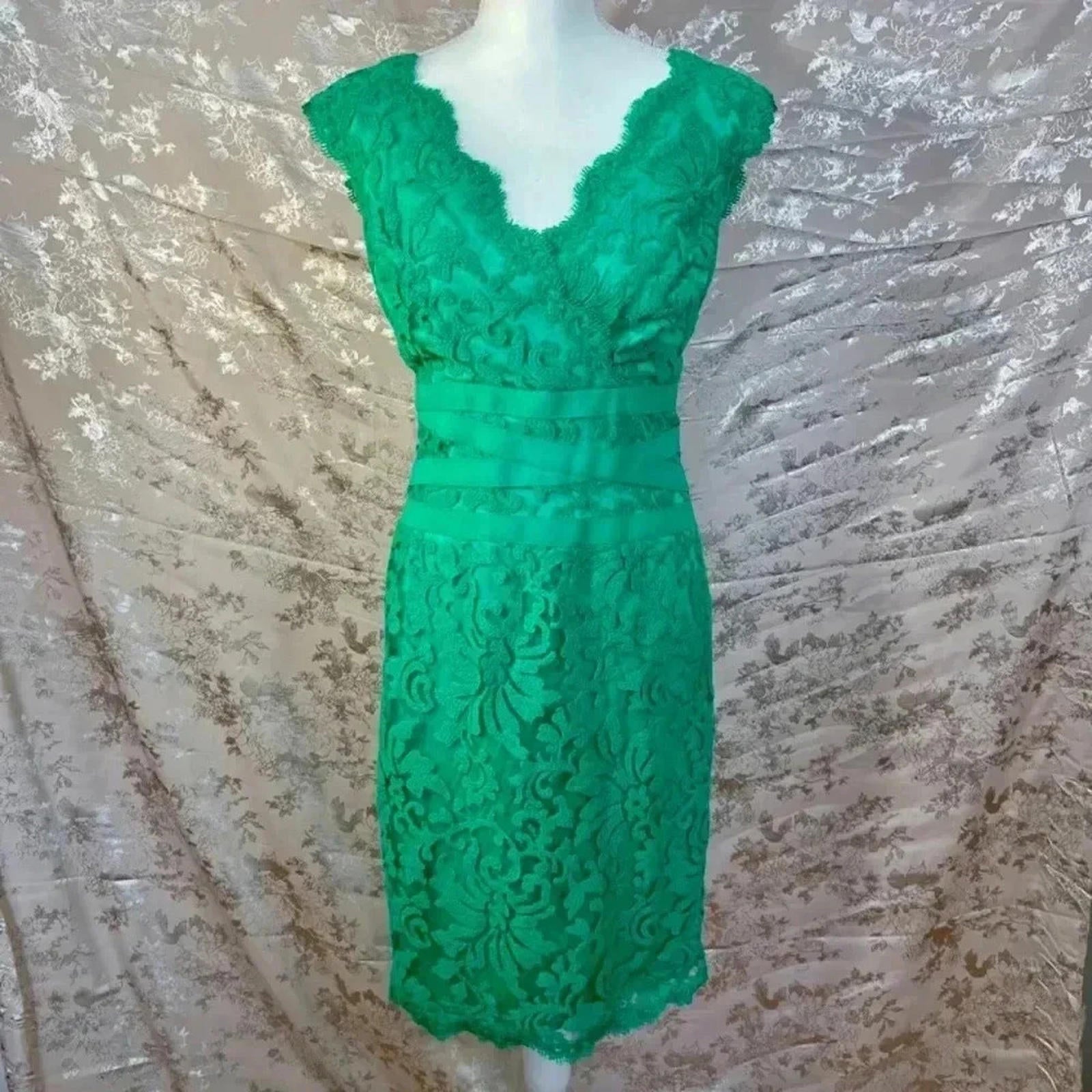Tadashi Shoji Embroidered Lace V Neck Dress Cocktail Dress Size 8