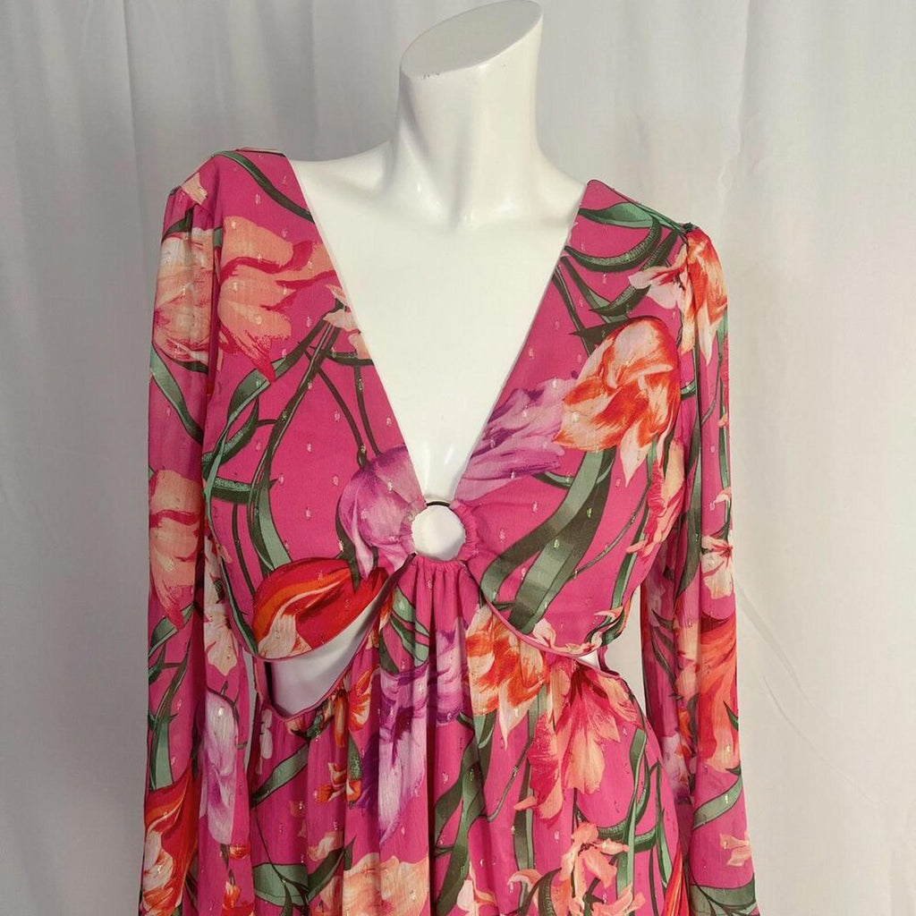 Siena Floral Swiss-Dot Maxi Dress Pink Tropical Floral Maxi Dress Size 12
