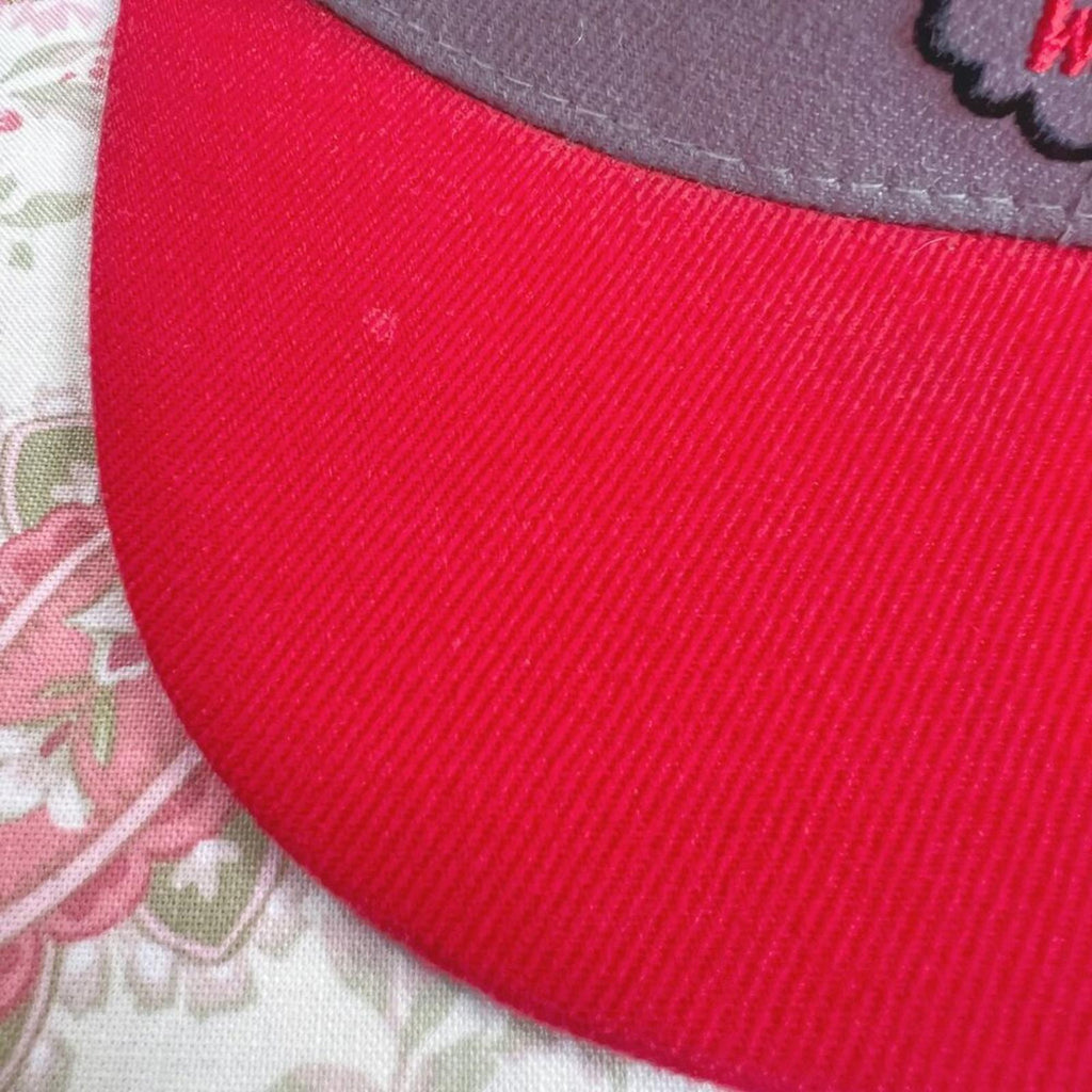 Vintage Chicago Bulls Mitchell & Ness Snapback Cap Grey and Red Baseball Hat