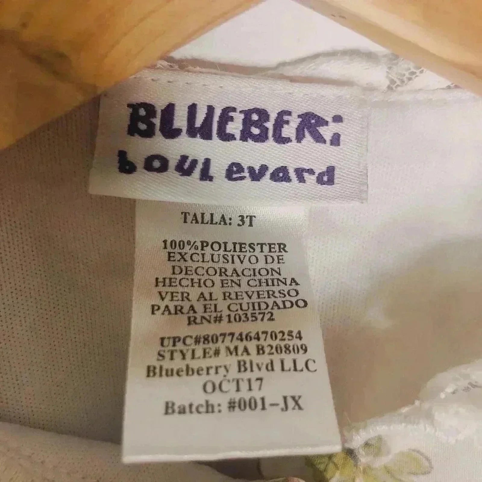 Vintage Blueberi Boulevard Little Girl's Dress